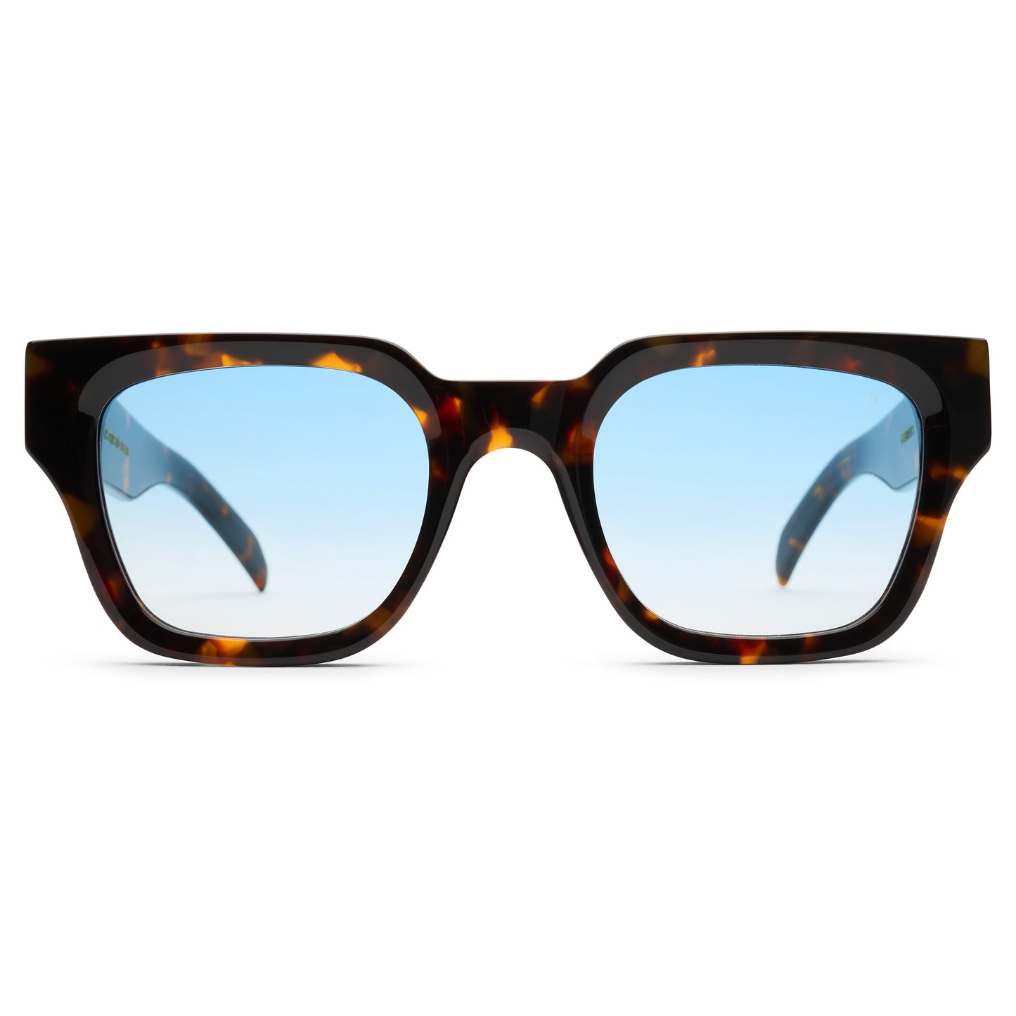 VISION SUNGLASSES V2 - TORTOISE / ARCTIC BLUE
