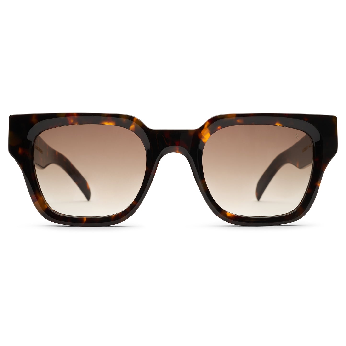 VISION SUNGLASSES V2 - TORTOISE / ESPRESSO BROWN