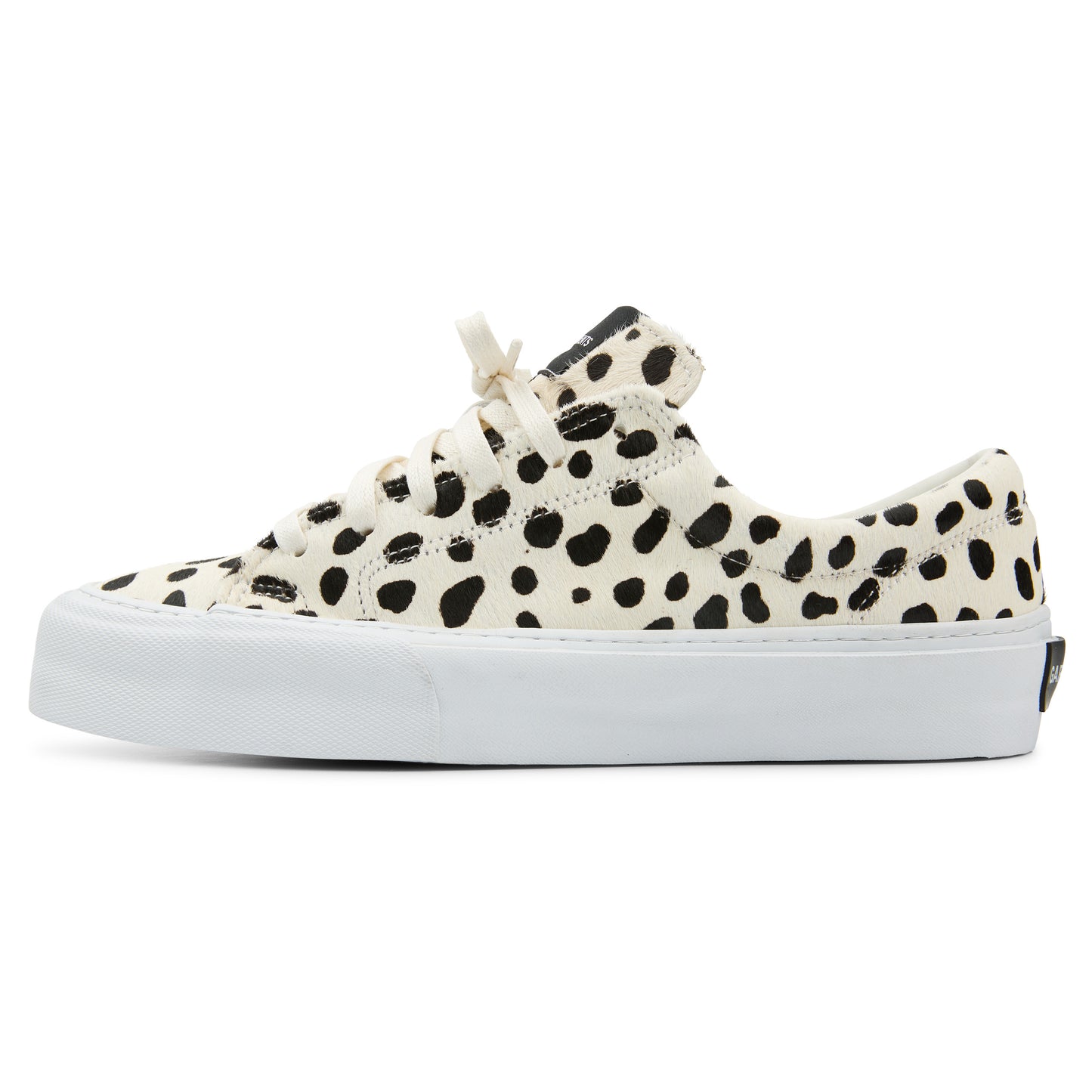 CALI 001 - DALMATIAN PONYHAIR
