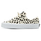 CALI 001 - DALMATIAN PONYHAIR