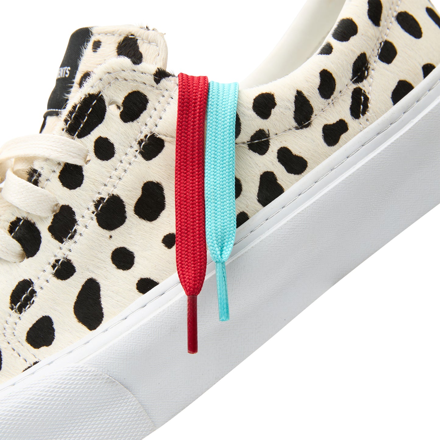 CALI 001 - DALMATIAN PONYHAIR