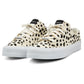 CALI 001 - DALMATIAN PONYHAIR