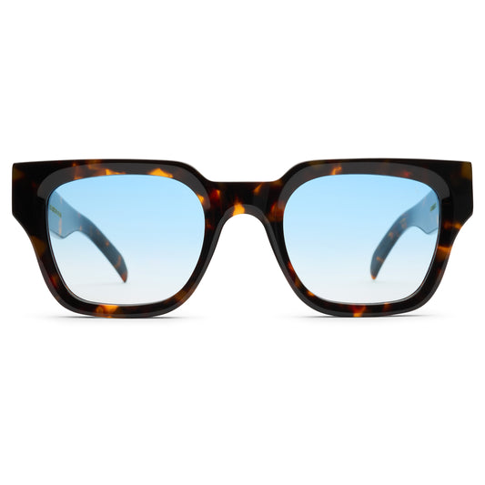 VISION SUNGLASSES V2 - TORTOISE / ARCTIC BLUE