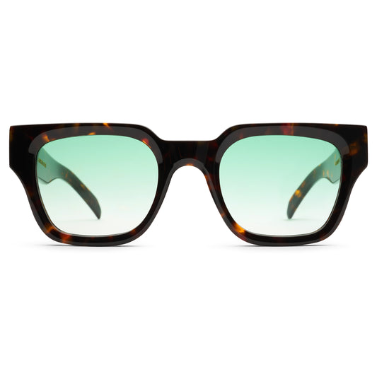 VISION SUNGLASSES V2 - TORTOISE / MONEY GREEN